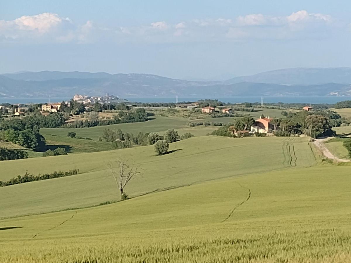 Casa La Selvella Vila Gioiella Exterior foto